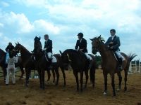 maciek-na-amancie-dekoracje-kl-p-4-jpg1361713990